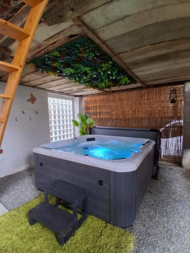 Spa, Gîte, jacuzzi & vin au grenier de Madiran (Gite, jacuzzi & vin au grenier de Madiran) in Madiran