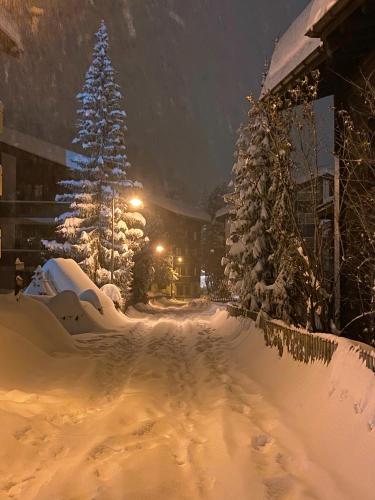 Chalet Achat by Zermatt Premium Apartments - image 2