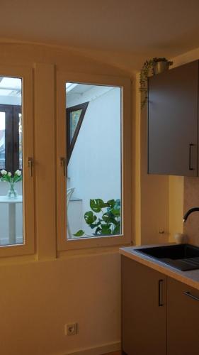 Comfort Apartment Altstadt Wintergarten Klimaanlage in 拉登堡