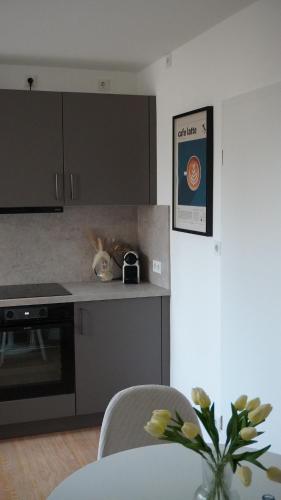 Comfort Apartment Altstadt Wintergarten Klimaanlage in 拉登堡
