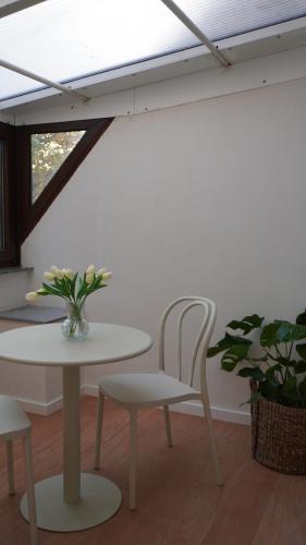 Comfort Apartment Altstadt Wintergarten Klimaanlage in 拉登堡