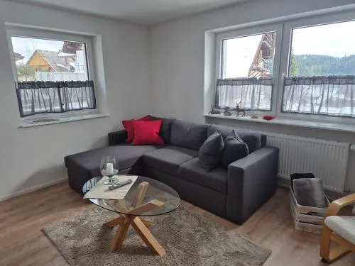 Ferienwohnung Ankerplatz in Schluchsee, Deutschland