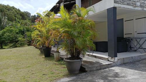 JONA APT in Le Lamentin