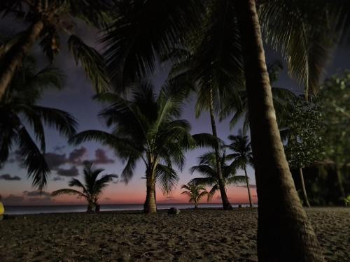 Uitzicht, JONA APT in Le Lamentin