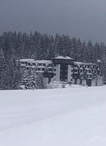 Apartman Nikolic 418