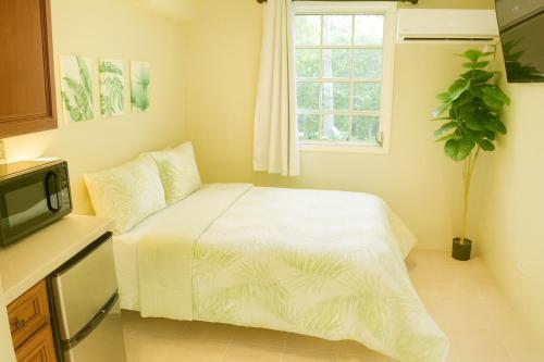 Island Retreat Studio #4, Nassau