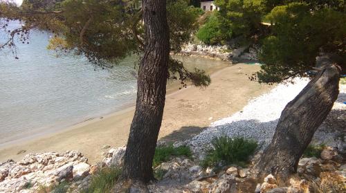  Apartments Sentic in Saplunara