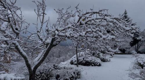 La casa di Haka in 盧科利