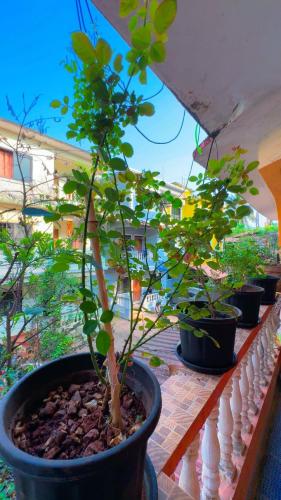 Deeptis Guest House – Candolim Beach, KY