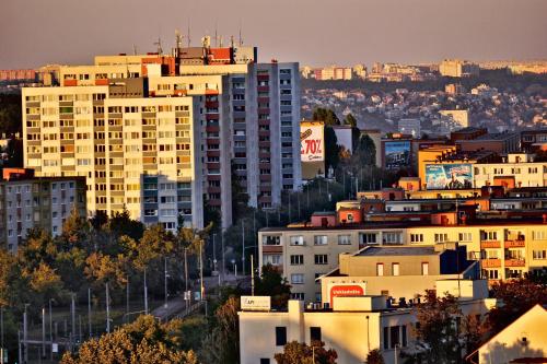 Hotel Krystal - image 3