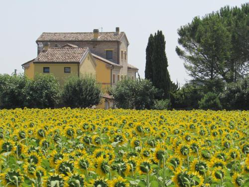  Alla Bigattiera, Pension in Osimo bei Rustico