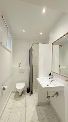 ApartmentInCopenhagen Apartment 1728 - image 5
