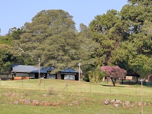 . AmaZeng farmhouse Mustang