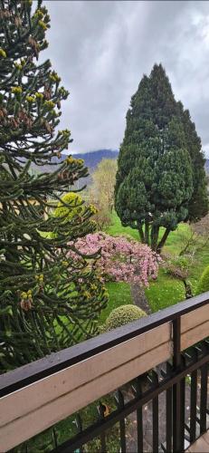 Aed, Casa Rosa in Cassina Valsassina