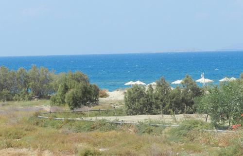 Studio Tolakis, Plaka (foto 5)