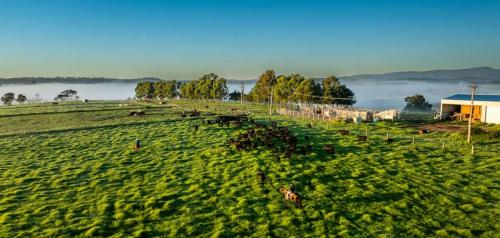 Hillview Farm Milton - Where the Country meets the Sea! in Yatte Yattah