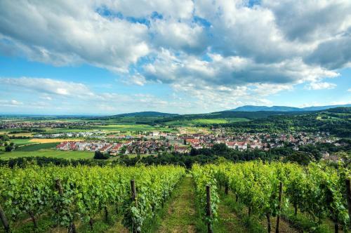 Zenitude Hôtel-Résidences Les Portes d'Alsace