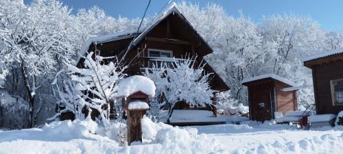 Siodomi Marinki share wood lodge, pets allowed