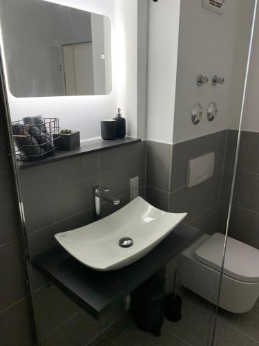 Renovated, cozy 1-room apartment with balcony in Pleidelsheim