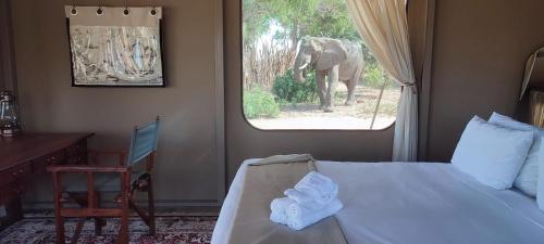Elephant Crossing Safari Bushcamp in Mafuta