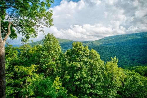 A High Country Retreat in Boone, USA