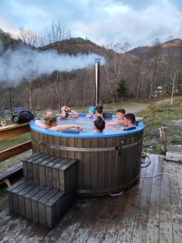 Charpatian Log Cabin Dragoslavele in Valea Hotaruluja