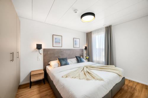 Hine Adon Avenches A2 Hotel Aparthotel with Tea room - Self Checkin in 阿旺什