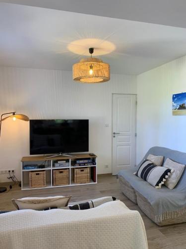 Villa Graine des pins, 14 personnes, proche Océan - Location saisonnière - Biscarrosse