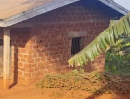 Escapade dans les montagnes de l'Ouest Cameroun, entre Baham, Bandjoun, et Bayangam in Bafoussam