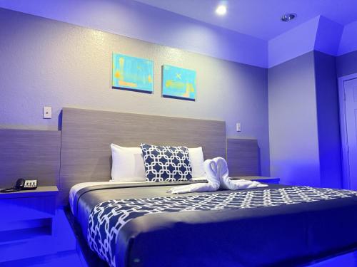 Island Suites Hobby Airport in Houston, USA