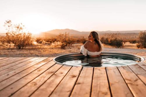 The Moondance By The Cohost Company, Joshua Tree