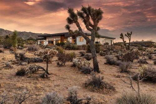 Sundrop Cowboy Pool, Hot Tub & Views! in Joshua Tree, USA