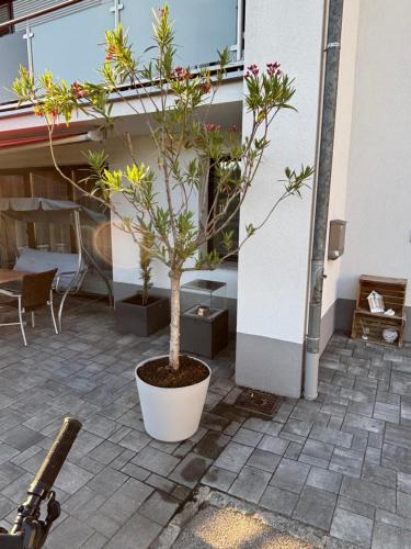 Ferienhaus Sunnseitn in Haslach An Der Muhl