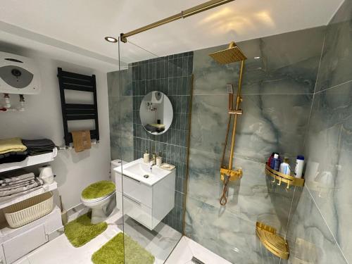 Ski and relax apartment - Voineasa in Voineasa