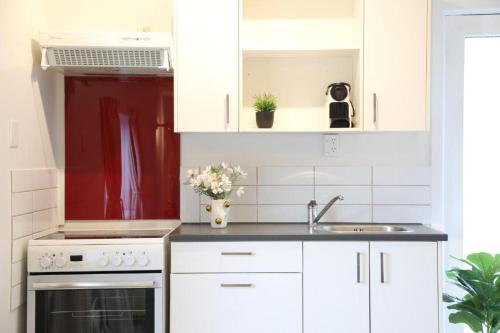 Skyline Urban - Entire Apartment with View, Netflix, Nespresso, and Street Parking in Kelburn