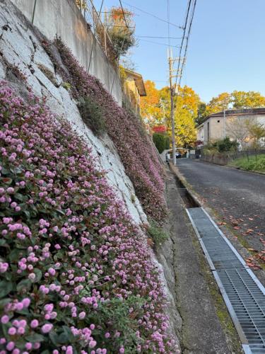 GREEN ViLLA南大阪