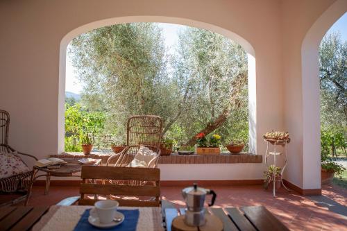 Book the Apartment with Garden View Apartment with Garden View