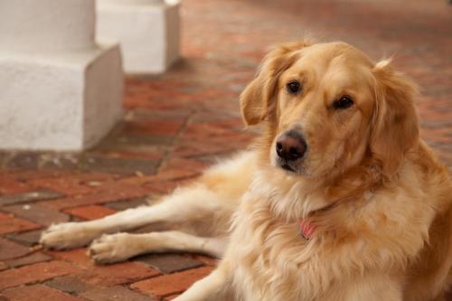 The Inn & Tavern at Meander The Inn & Tavern at Meander