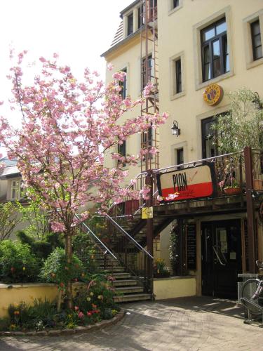 Hostel Louise 20, Drážďany