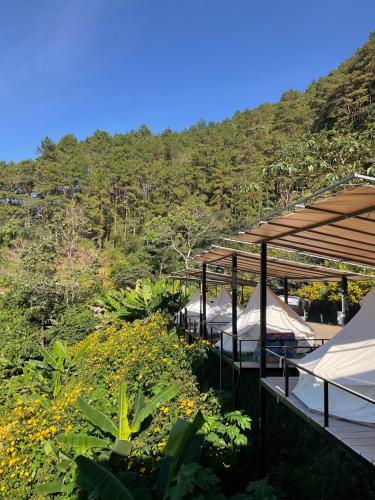 Mae Hong Son The will glamping&camping Hotel amenity