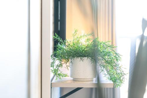 Living like hotel Hakata Premium - image 2