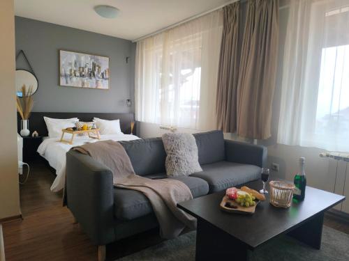 Urban Atelier 300m from Gondola, Free Bottle of Wine, free Parking in 班斯克