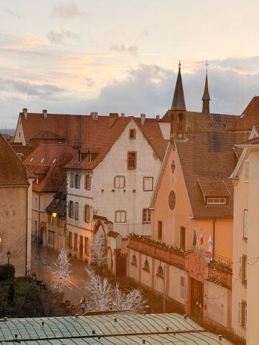 Logement Colmar centre avec Parking - Location saisonnière - Colmar