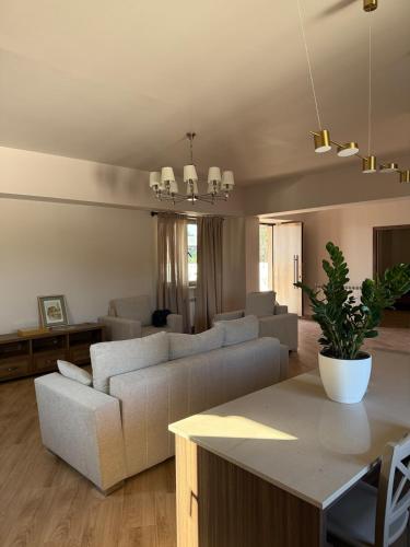Elegant and comfortable villa in Verin Ptghni
