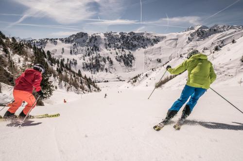Jagdhaus – Mayrhofen, IL