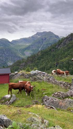 Зовнішній вигляд готелю, Jostedal Lodge in Йостедал