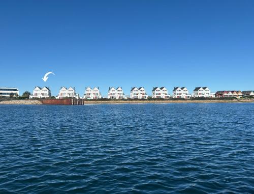 SeaPearl- Hafenblick, Terrasse, Bad mit Infrarotsauna und Whirlwanne in Olpenitz