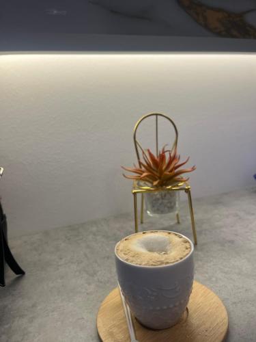 Studio Apartman ALIMRAN in Bjelasnica