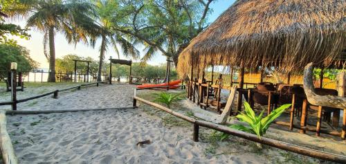 Surrounding environment, Manico Camp in Inhaca Inhaca