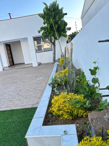 Rhino Guest House in Tsumeb